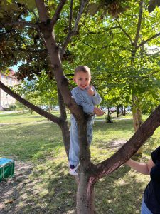 Imam petlju da se ispetljam na drvo slika
