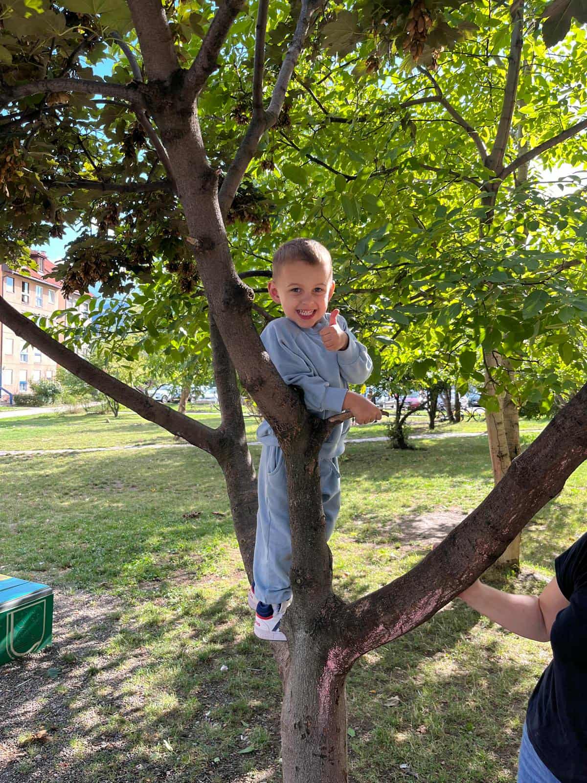 Imam petlju da se ispetljam na drvo slika
