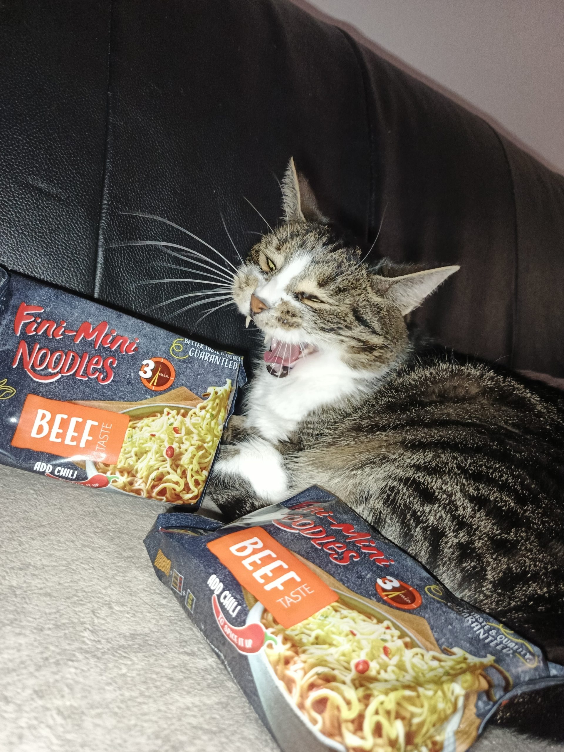 Treba imati petlju i prići do nudli slika