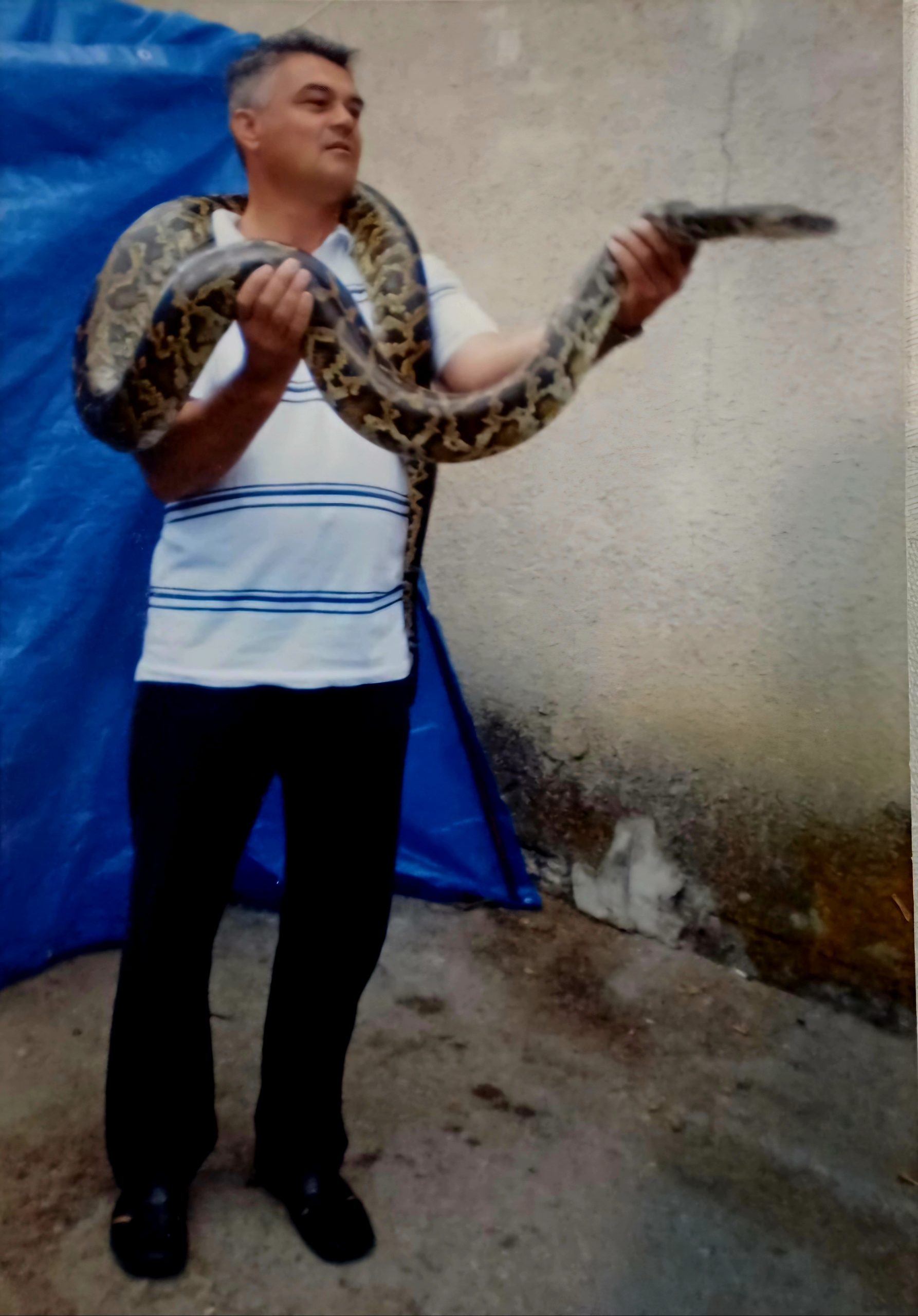 Držati pitona od 20 kg oko vrata slika