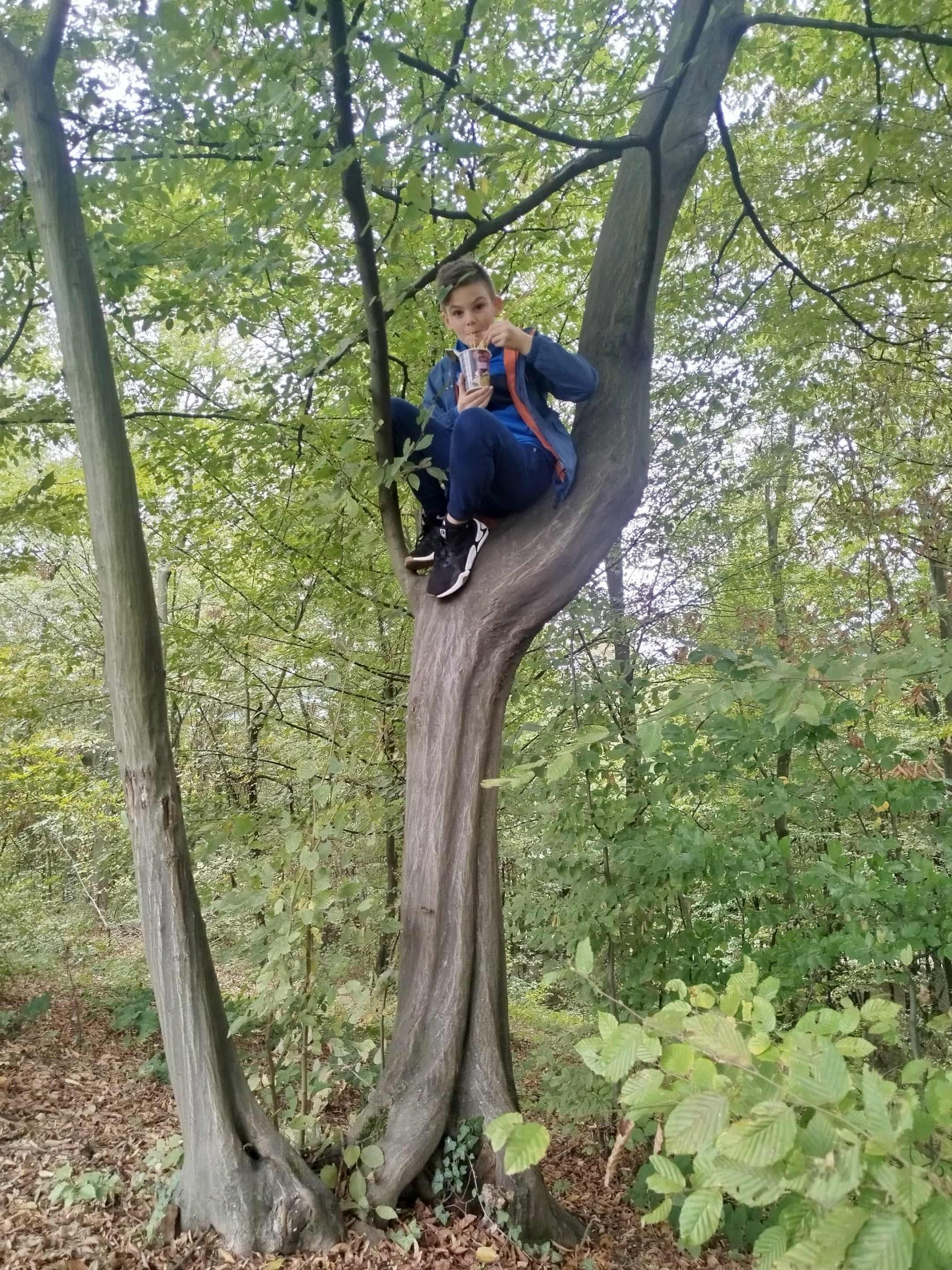 Fini Mini - petlja koja se ne boji visine! slika