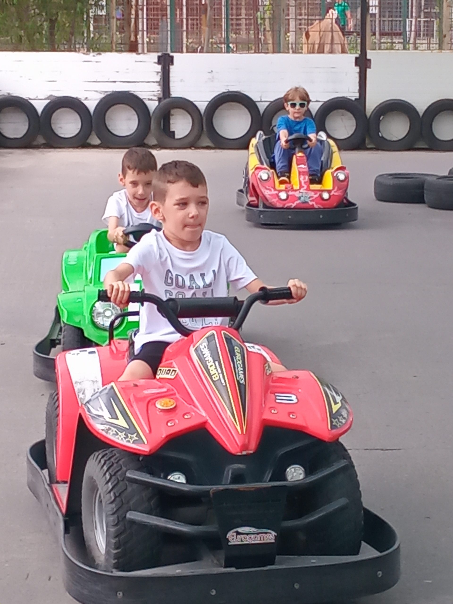 Blizanci u akciji slika