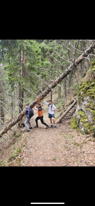 • “Imam petlju da podignem i ono što drugi zaobil slika