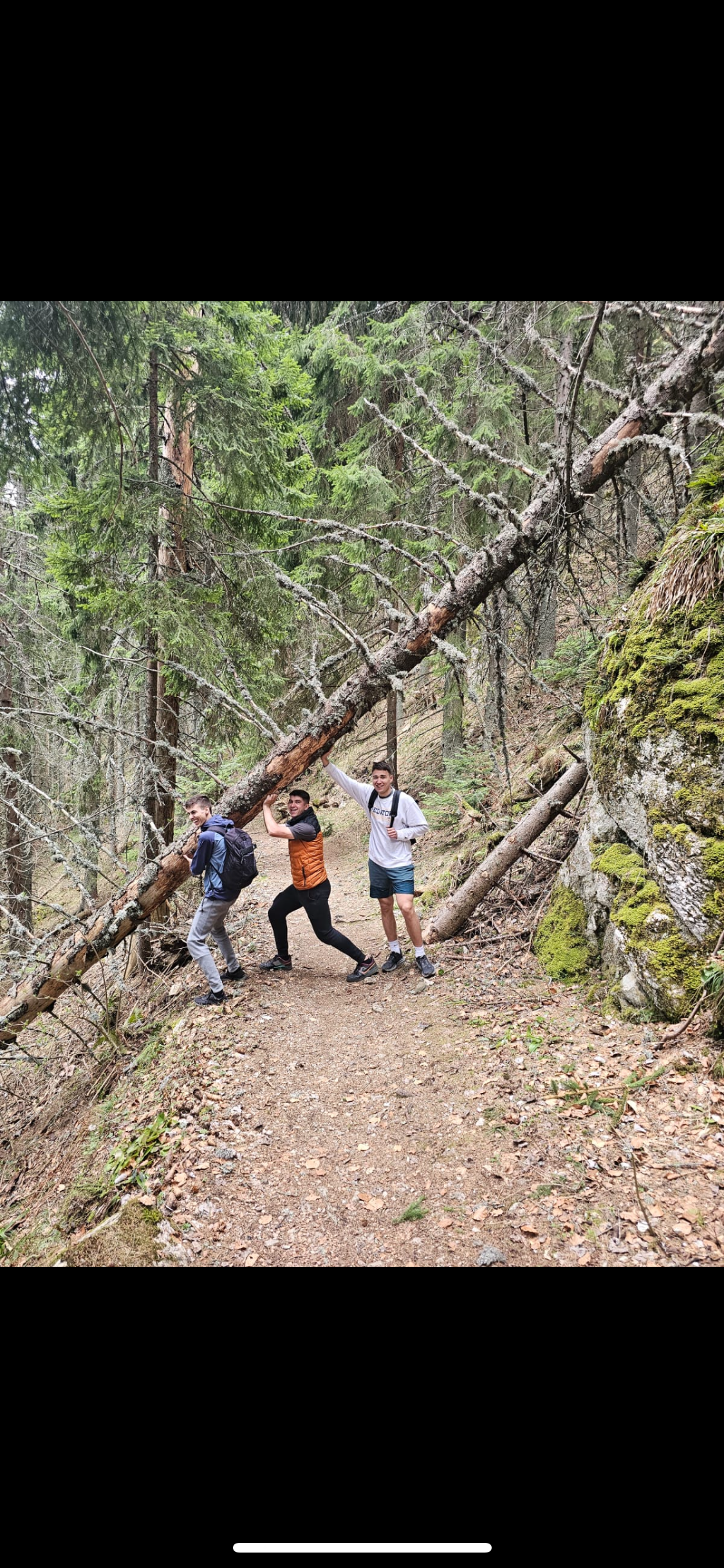 • “Imam petlju da podignem i ono što drugi zaobil slika