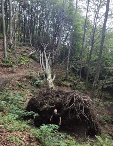 Planinariti satima slika