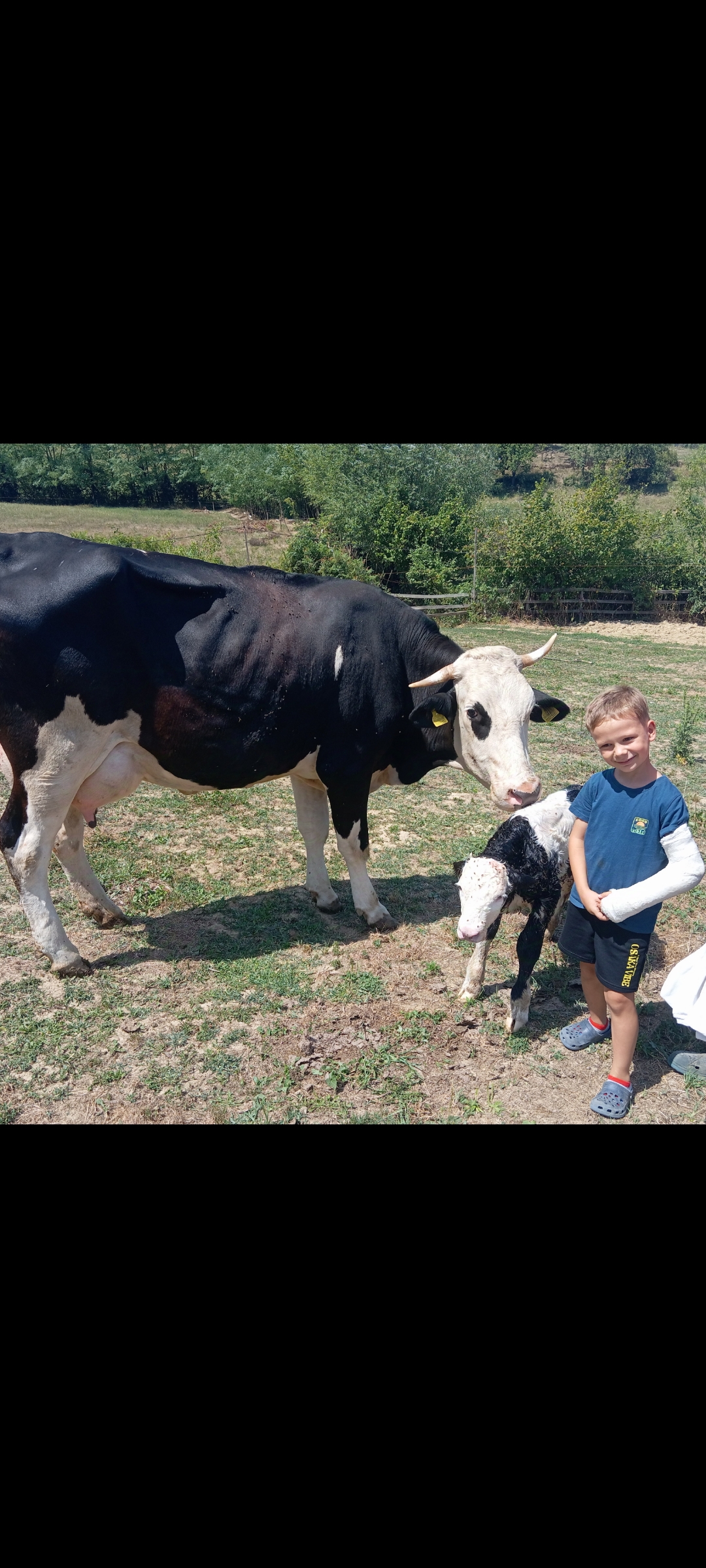 Ova mala dusa voli traziti bebe po paši. slika
