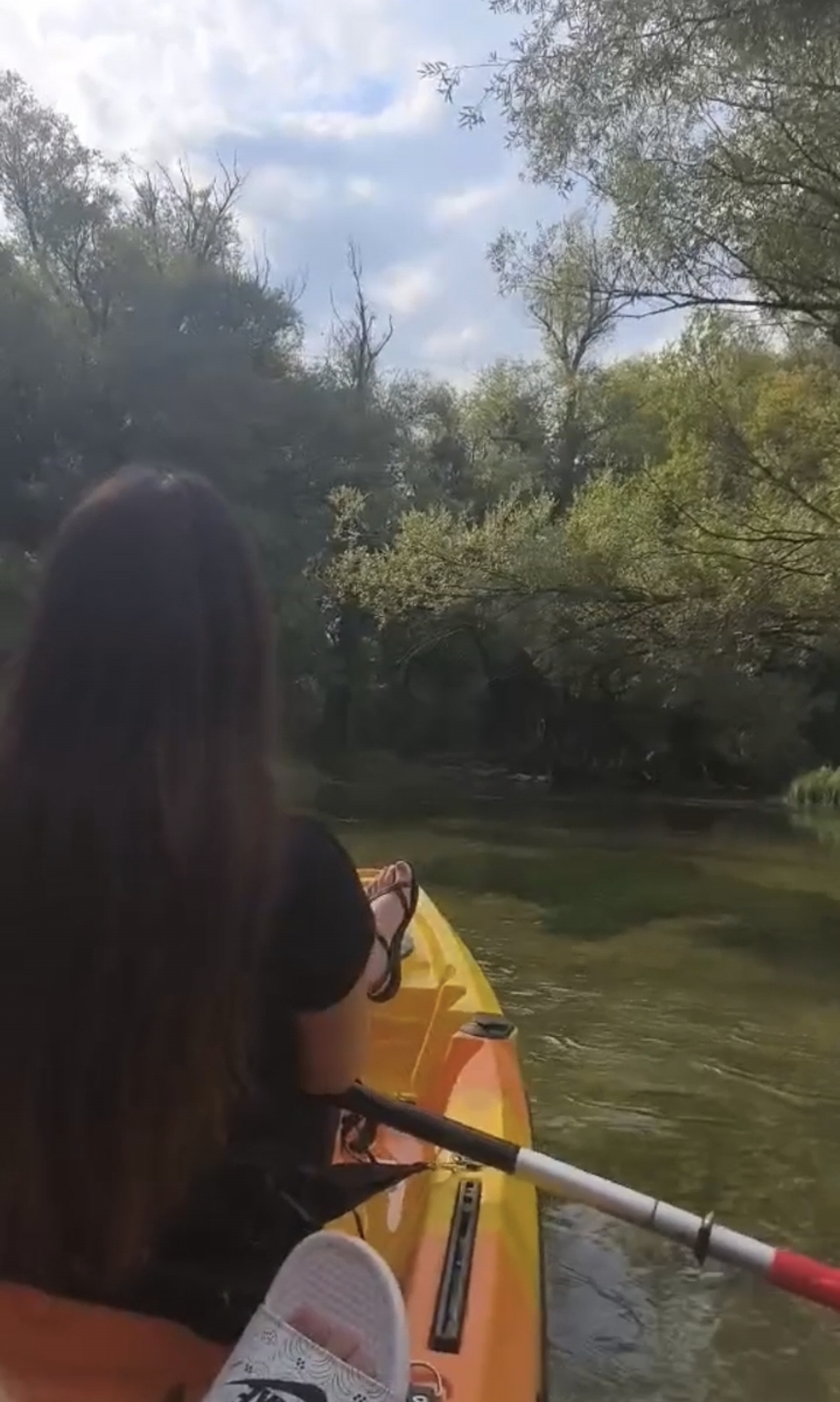 Kajakarenje kroz šumu slika