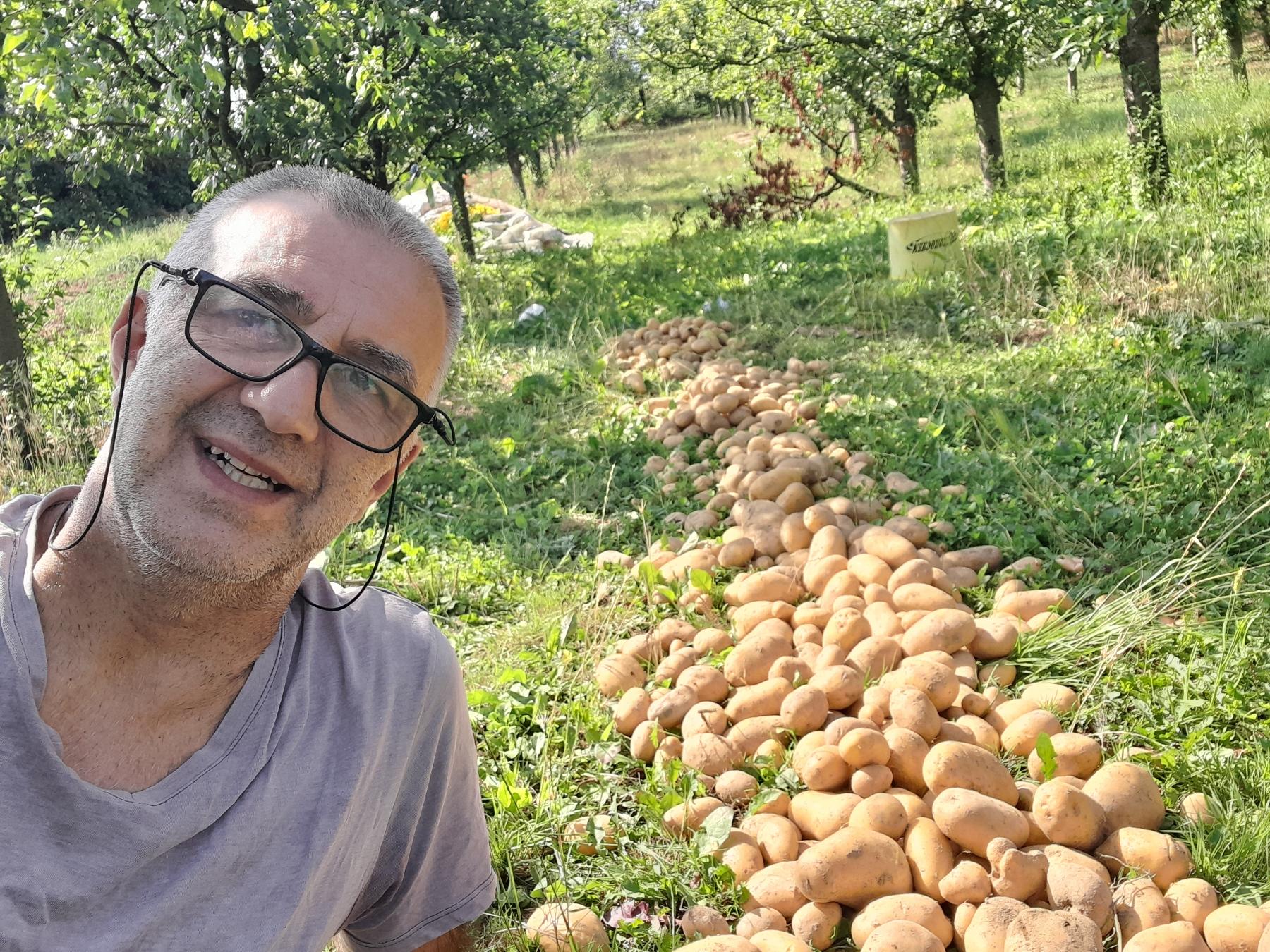 Sve sam posijao sam, sve cu i pojesti . slika