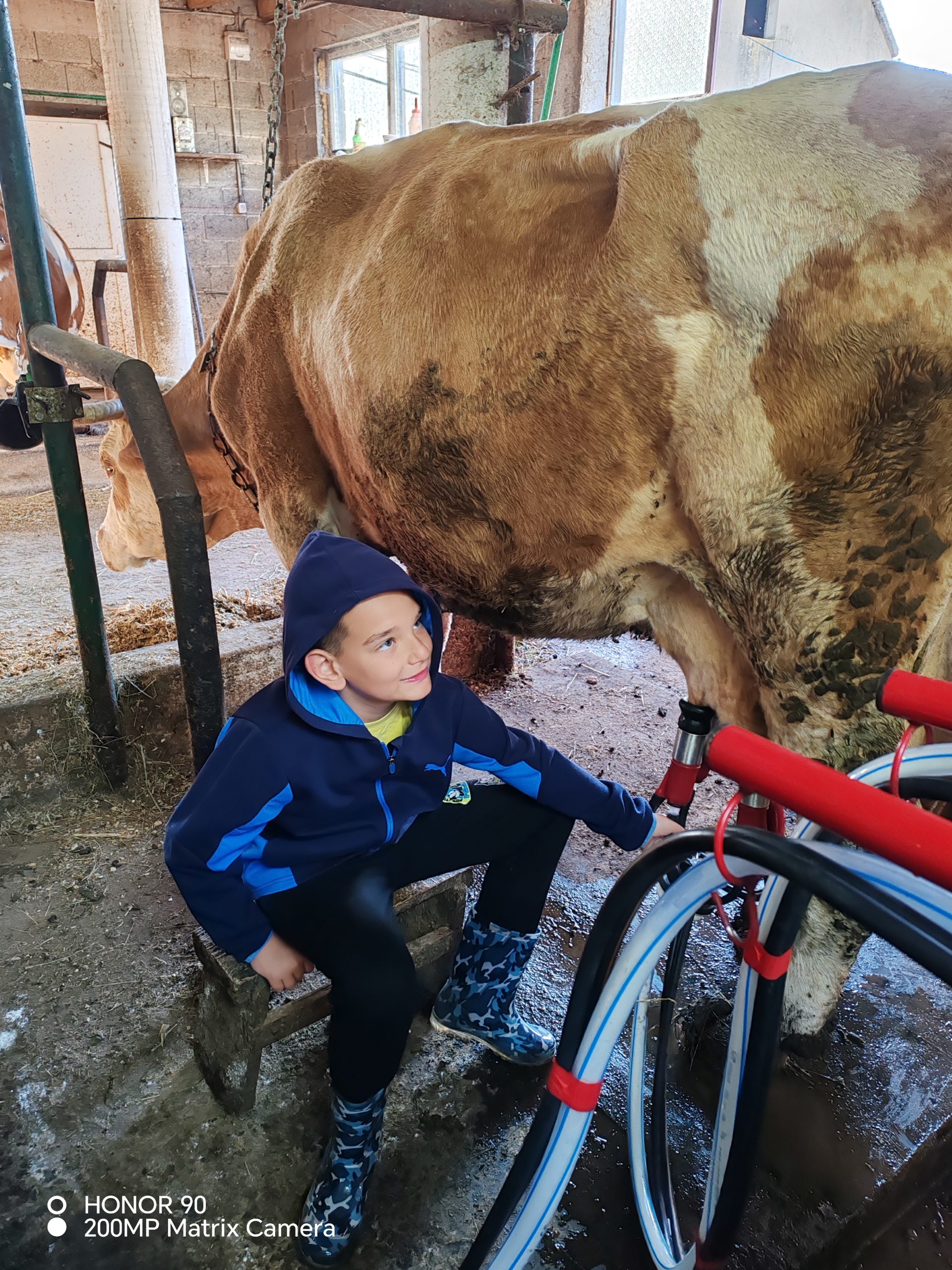 Sjesti ispod 700kg sa svojih 6 godina, petlja 😄 slika