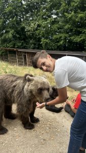 Hraniti medvjeda iz ruke – e to treba imati petlju slika