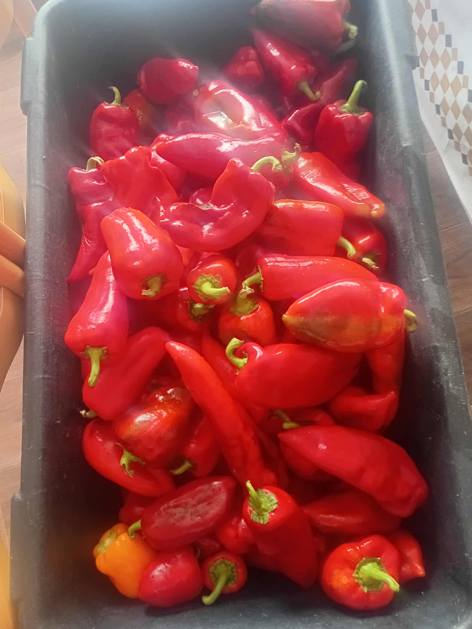 Spremanje za hladne dane slika
