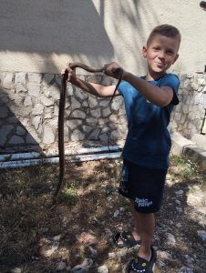 Imao sam 7 g,osmjeh,i PETLJU da držim " Kravušu" slika