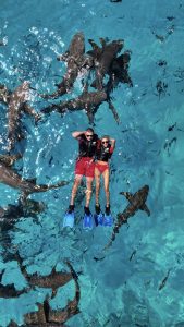 Opis nije potreban, očigledno je da imam petlju 😂 slika