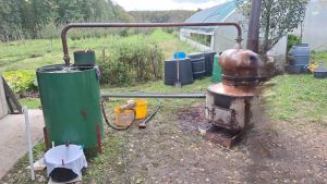 Imaj petlju pa rakiju ispeći domaću slika